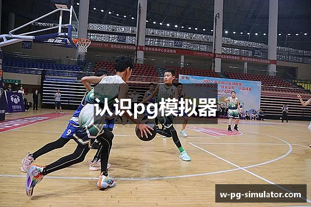 认识pg模拟器